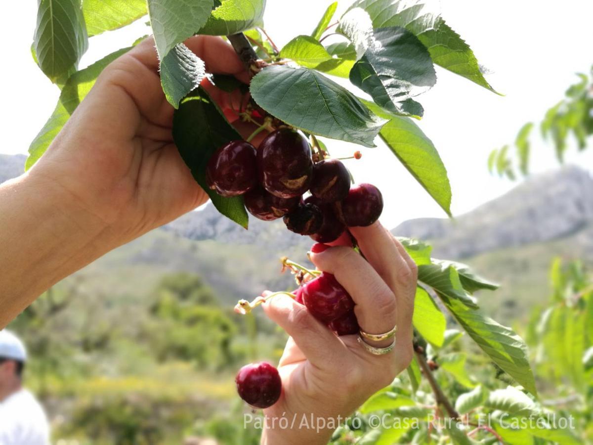 Апарт готель Buhardilla Rustica En La Vall De Gallinera Patro Екстер'єр фото